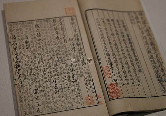 何休是谁？东汉今文经学家何休生平简介