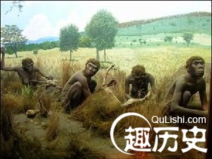 人类的由来 探索人类的起源究竟来自哪里？